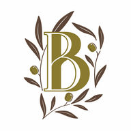 baldinucci logo